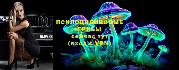 стаф Армянск